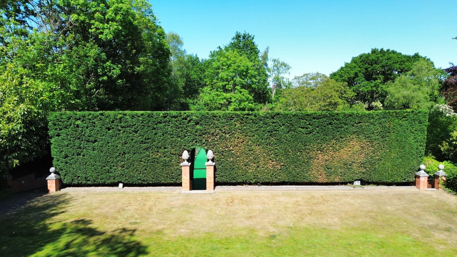 Professional hedge trimming